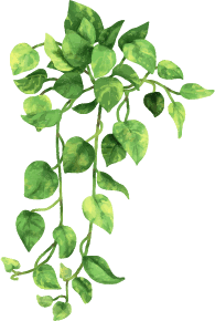ilustración hojas