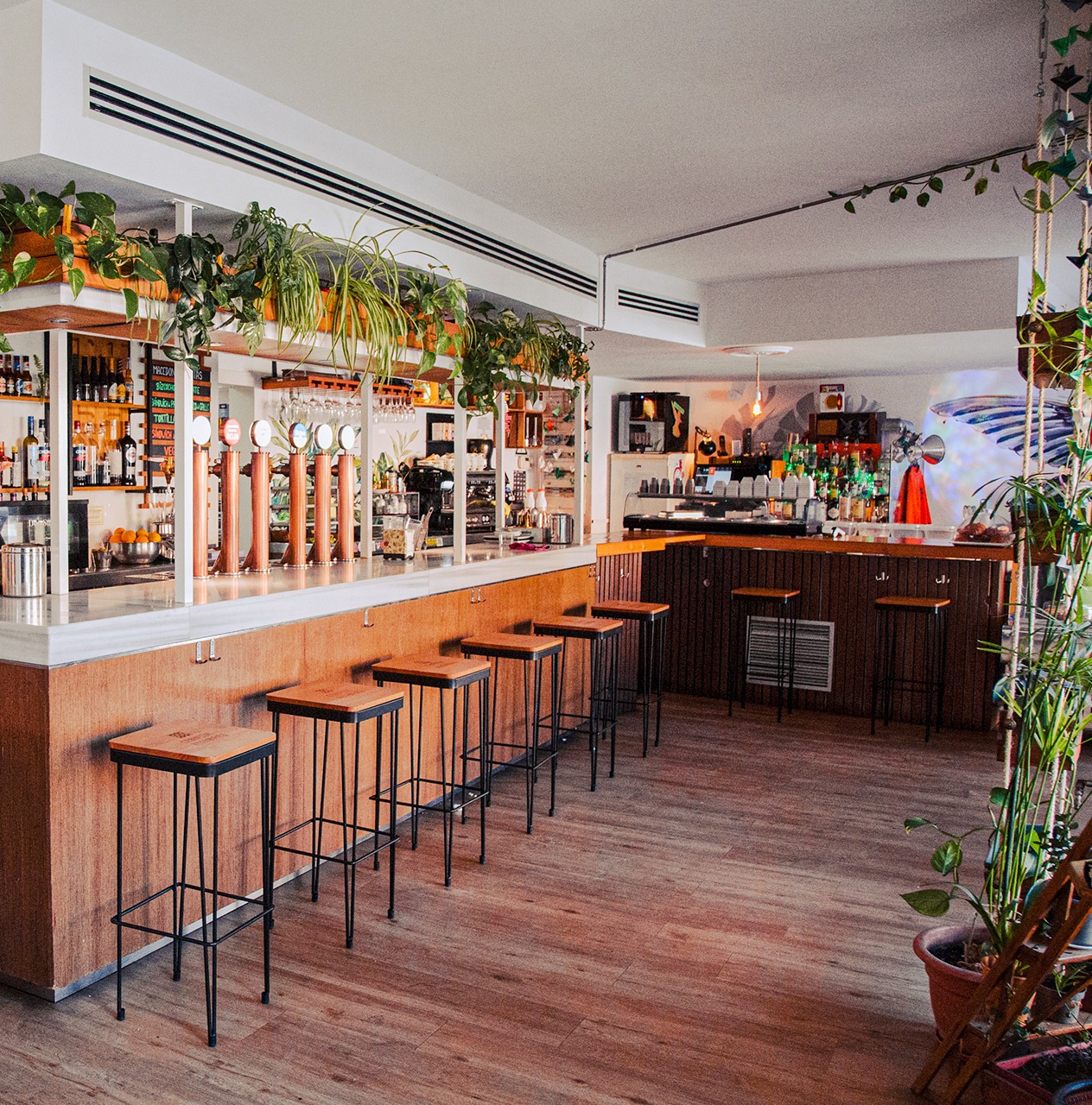 Bar el colibrín - barra del bar