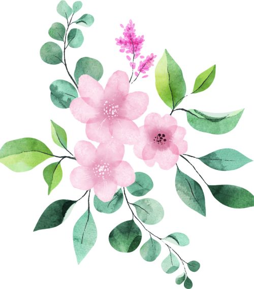 ilustración flores